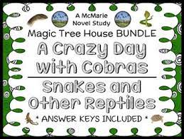 Pin On Magic Tree House