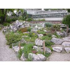 Botanischer garten universität innsbruck sternwartestraße 15a, 6020 innsbruck +43 512 / 50 75 927 naturidylle mitten im stadtgebiet im botanischen garten lebt die pflanzenvielfalt. Hall In Tirol Botanischer Garten Mi 12 05 2021