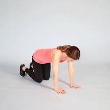 Did you know tiktok is actually a great place to find workouts? Bird Dog Exercise How To Do Variations And Muscles Targeted