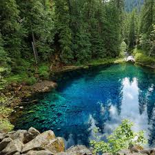 Mckenzie river trail blue pool. Top 10 Beginner Friendly Hikes In Oregon Travel Off Path