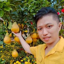 Việc Làm Bình Chánh ✓( Việc Làm Bình Chánh