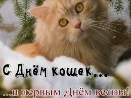 We did not find results for: Den Koshek 2020 Veselye Kartinki Pozdravleniya Stihi Fakti