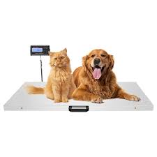 The Ultimate Guide to Smart Scales for Pets