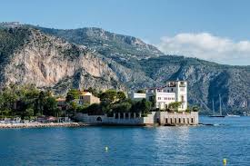 Image result for Medium Water Blue 1991 Monaco