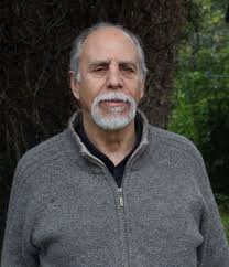 Académicos por institutos