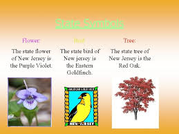Wall charts are included with real photos so your children will have a better understanding of how the symbols look. New Jersey By Student A Important Cities Trenton