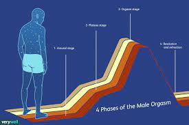 Male Orgasm: The Science of Male Climax