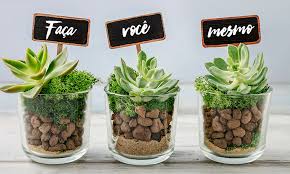 Reciclando garrafas de vidro para decorar a casa. Faca Voce Mesmo Jardins Dentro Do Vidro Blog Lojas Lebes Dicas E Novidades Imperdiveis Para Voce