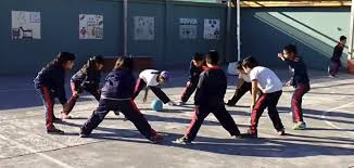 Para bastías, la actividad física en niños debería superar los 60 minutos diarios que recomienda la oms dado que mientras más tiempo le dediquen a la actividad física, más el profesor de educación física aprovechó la ocasión para recomendar los siguientes juegos para realizar en casa. Juegos Recreativos Y Divertidos Para Educacion Fisica Marzo 2021