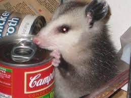 Snailmily Midnight Snack Awesome Possum Baby Possum Opossum