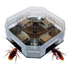 Maybe you would like to learn more about one of these? Jual Cockroach Trap Perangkap Kecoa Kecoak Pembasmi Serangga Hama Large Di Lapak Futureshop Official Bukalapak