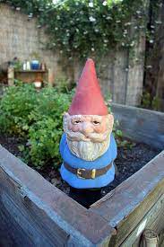 More the garden gnome 10 regular price $29.95 $29.95. Mr Gnome Gnome Garden Gnomes Yard Gnomes