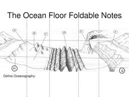 Journey To Bottom Of The Ocean Ppt Download