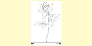 Are you looking for some rose coloring? Free Realistic Rose Colouring Colouring Sheets