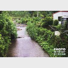 這是個位於屏東泰武鄕山中的部落 馬仕部落 四周有 連綿翠綠高山 還有一條水質清徹的溪流耶 床工場的客戶住在這景緻美麗的山中 中秋睡新床 睡眠充足每天元氣滿滿滿 photooftheday 床工場生活館