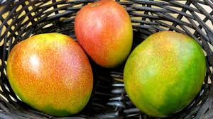 Rimuovi lentamente la buccia da una sezione del mango. Come Maturare Un Mango A Casa Determinazione Del Grado Di Maturazione Modi Per Accelerare La Maturazione Corretta Conservazione