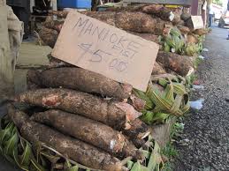 And the various starches such as yams, taro, sweet potatoes, and tapioca. Roots Crops Of Tonga Tonga Time