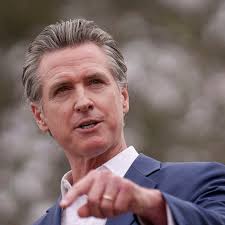 Animal rights activists pull off chicken heist