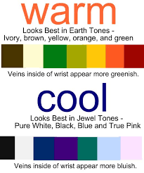 Pin By Nancy Puar On Color Analysis Skin Tone Chart Colors For Skin Tone Warm Skin Tone