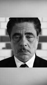 Soft Citizen (@softcitizenx) • Instagram photos and videos