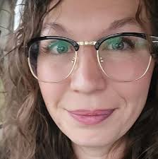 where to get windows tinted in holton michigan?