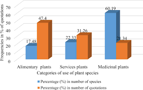 Image result for Heisteria zimmereri