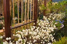 Place your path stones, then work in the. 21 Bamboo Fence Ideas For Residential Houses