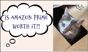 It offers 5% back on purchases at amazon.com and whole foods, and you can redeem your points in a variety of ways. Is Amazon Prime Worth It I Think So