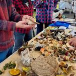 Festival des champignons forestiers du Kamouraska