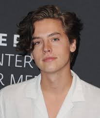 So the bottom/sides would be cut or clipped short with a disconnected top. Dylan Sprouse Hairstyle New Hairstyle Cole Sprouse Dylan Sprouse Clip Hairstyles