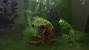 Pumpkin Fish Tank Decoration