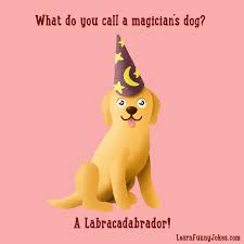 Why did goofy put a clock under his desk? What Do You Call A Magician S Dog A Labracadabrador Learn Funny Jokes