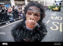 A performer dressed in a monkey costume seen during the New Year's Day  parade. The London New Year's Day Parade, held annually