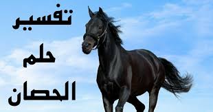 تفسير حلم ركوب الخيل رؤيه ركوب الخيل في المنام رهيبه