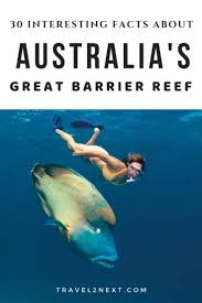 Australia The Great Barrier Reef Is The Jewel In Queensland S Crown And One Of The Seven Wonders Of Great Barrier Reef Australia Travel Guide Australia Travel