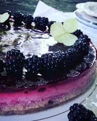 Tarte A La Panna Cotta De Coco Et A La Mure Sans Cuisson Panna Cotta Sucre De Coco Alimentation