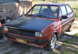 Image result for Terra Cotta 1980 Fiesta