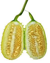 Image result for Cucumis anguria