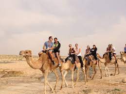 When a camel is being ridden by avoid camel rides outside of major tourist attractions from informal operators, as well as rides that just last an hour or two. Day 3 Camel Riding Masada The Dead Sea Chabad At University Of Central Florida