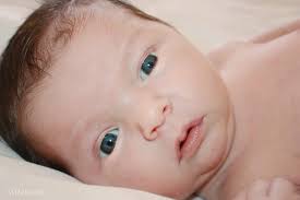 Photography by Shannon...