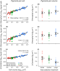For instance, the smallest bacteria are 0.1 micrometers (μm) in diameter—about a thousand times smaller than many eukaryotic therefore, cell size and surface area to volume ratio are crucial factors in the evolution of cellular characteristics. Cell Size Photosynthesis And The Package Effect An Artificial Selection Approach Malerba 2018 New Phytologist Wiley Online Library