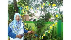Sambil berwisata di alam banyuwangi yang cantik, kamu juga bisa mencicipi kuliner khas banyuwangi. Taman Sekolah Unik