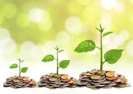 Cauta cel mai bun fond de investitii toate actiuni obligatiuni diversificat monetar randament absolut alte fonduri. Fonduri Mutuale Tot Ce Trebuie Sa Stii Daca Esti Incepator