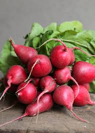 They will become pithy and the wilt after transplanting is called transplant shock. Radiant Radishes Veggies Grow To Eat The Gardener The Gardener