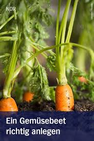Gemuse Im Garten Anbauen Die Wichtigsten Tipps Garten Wintergemuse Anbauen Und Gartenarbeit