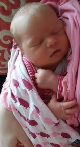 Spruce Grove Newsletter