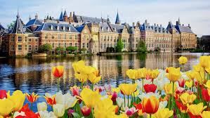 Een facebookpagina met alles wat jij wilt weten over de haagse binnenstad. Ferries To The Hague Uk Ferries To Holland