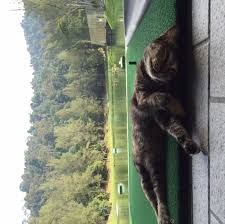 Mohon skim air darul ehsan. Kelab Darul Ehsan Golf Recreation Selangor Darul Ehsan Malaysia Golfdreams