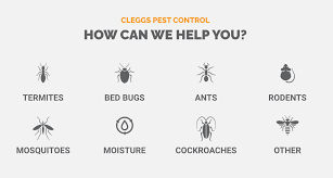 Clegg's termite & pest control. Clegg S Pest Control Business Spotlight Raleigh Moms