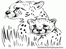 These feline mammals live in the middle east and africa. 6 Pics Of Baby Cheetah Coloring Pages Printable Cute Baby Coloring Home